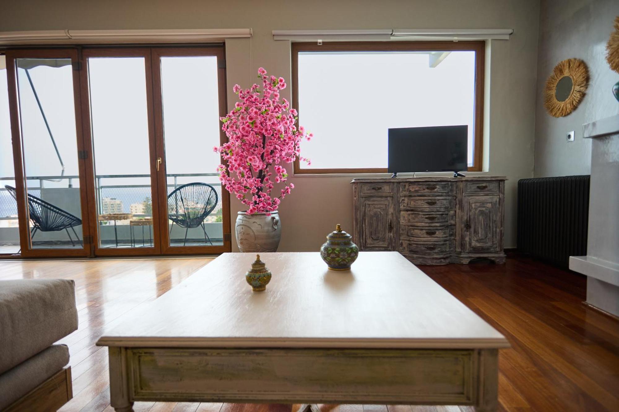 Apartment Panoramic Loft